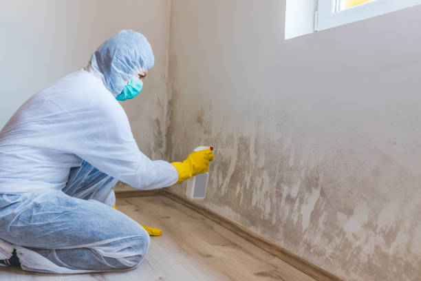 Bathroom Mold Removal assessment in Warriors Mark bathroom